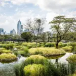 Benjakitti Park in Bangkok: A Tranquil Escape in the Heart of the City