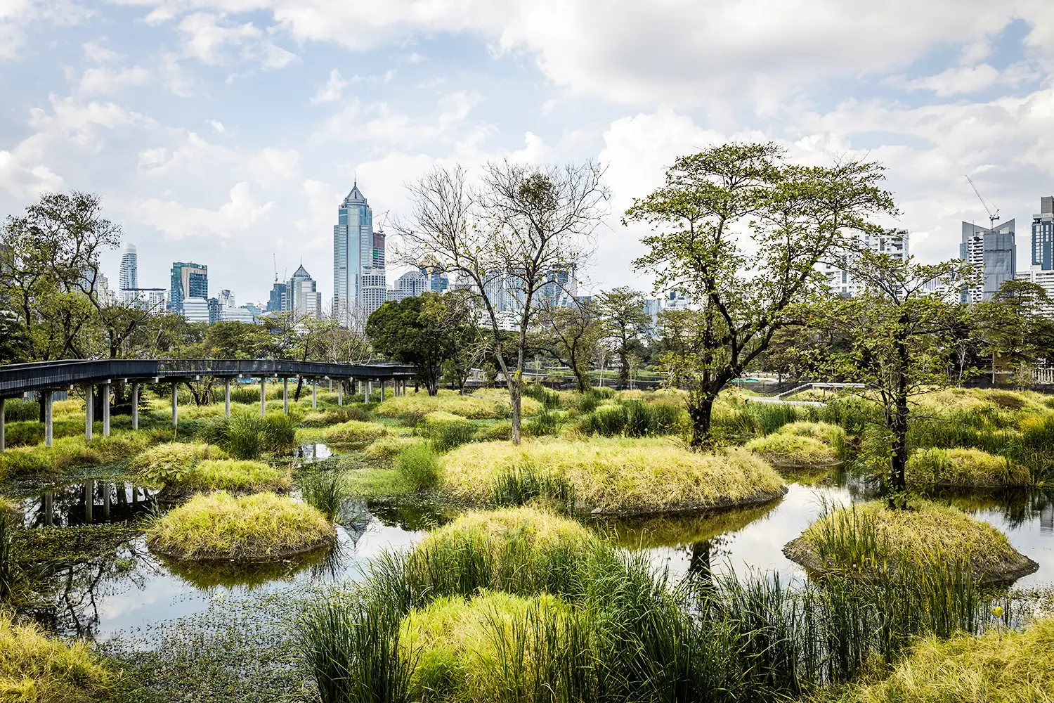 Benjakitti Park in Bangkok: A Tranquil Escape in the Heart of the City