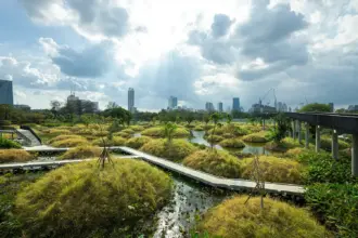 Benjakitti Forest Park (Benchakitti) in Bangkok