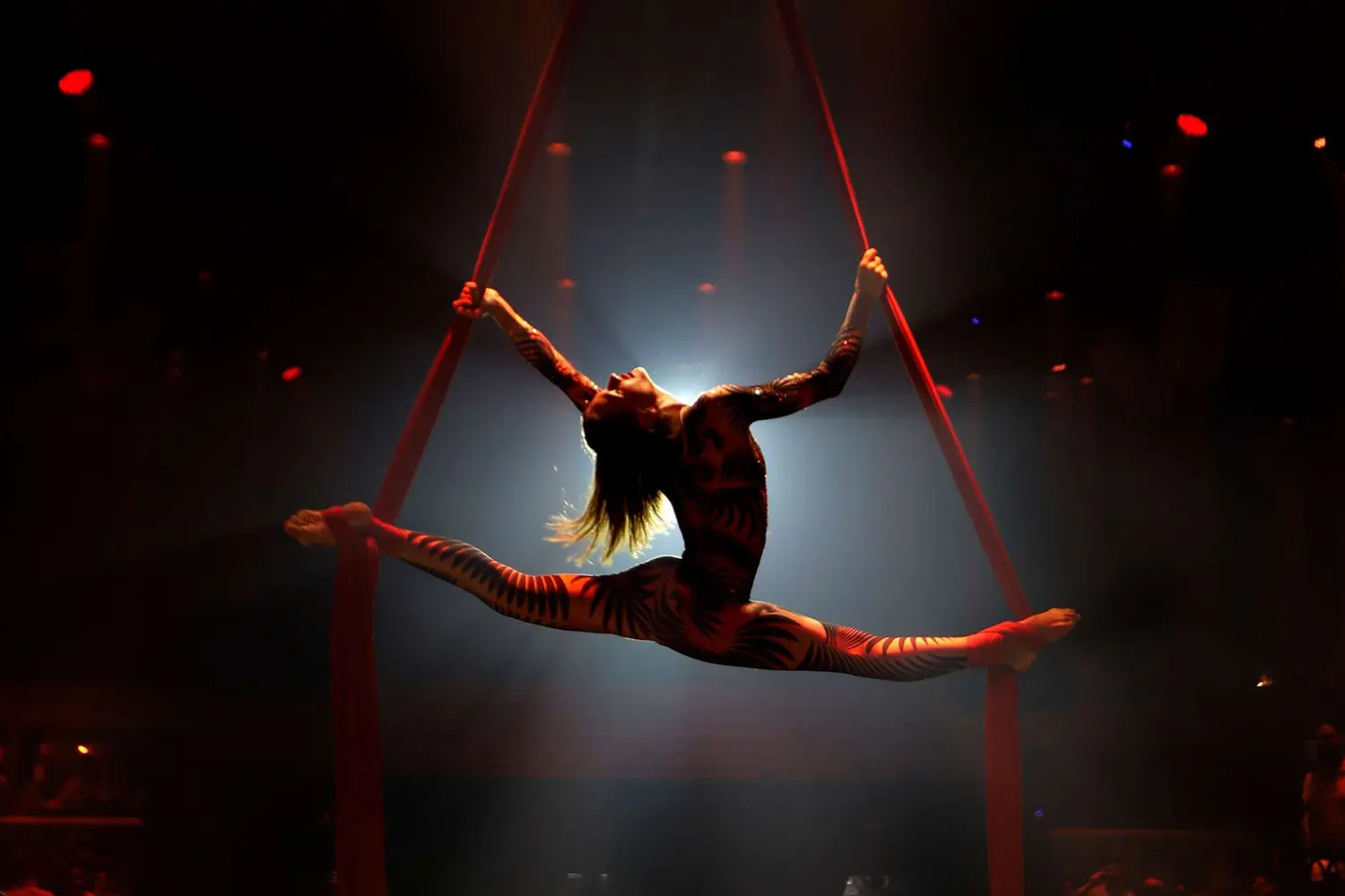 BarFunk Phuket and Armania Night Club