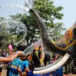 Songkran Festival 2026 Bangkok | Thailand New Year Guide