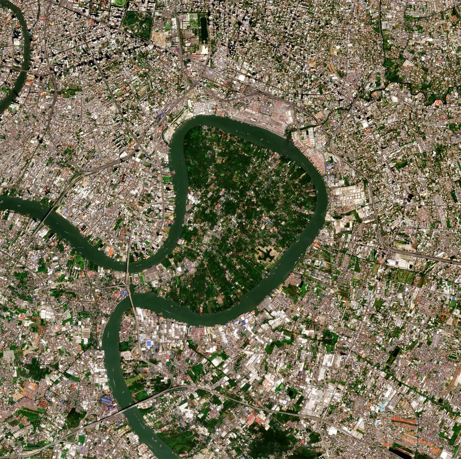 Bangkok’s Green Lung